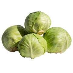 Fototapeta premium Fresh vegetable Cabbage isolated on white background 