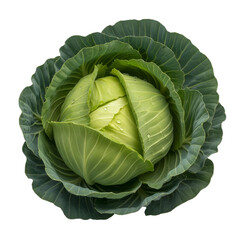 Obraz premium Fresh vegetable Cabbage isolated on white background 