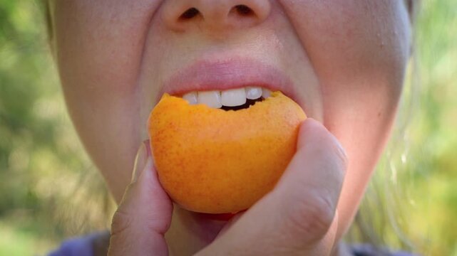 Woman is eating a juicy apricot. Fruit is a great healthy snack to have throughout the day.