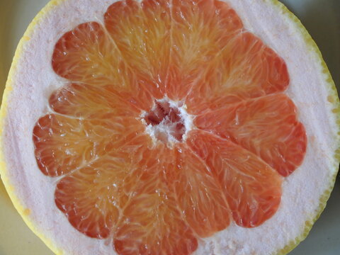 pamplemousse ou pomelo close up