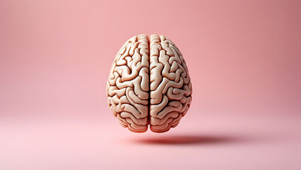 Human Brain Model on Pink Background Depicting Intelligence Memory Thinking Learning Cognitive Function and Mental Health Concepts