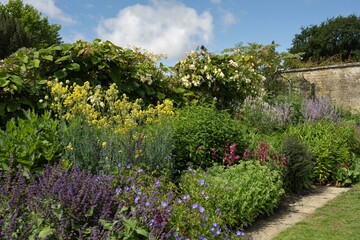 Obraz premium Country House flower border