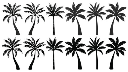 Fototapeta premium Silhouette Palm Tree Vector Set – Tropical Coconut Tree Icons for Beach, Summer, Travel, Paradise, Island, and Nature Design Elements in Black