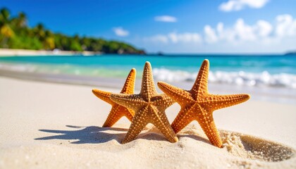 Two upright starfish on sandy beach with blue ocean, palm trees, and bright sky in background.