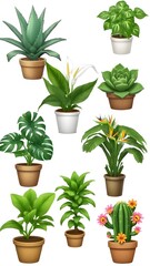 set of plants 
Different plants and flowers
Decorations sets of plants and flowers
Green grass seed 
