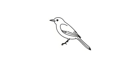 Obraz premium bird silhouette, tropical bird, exotic bird vector, bird flat design, colorful bird, bird drawing, cartoon bird, realistic bird vector, sparrow illustration, parrot vector, dove illustration, eagle ve
