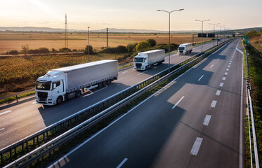 Caravan or convoy of white trucks in line on a country highway at sunset © Ivan