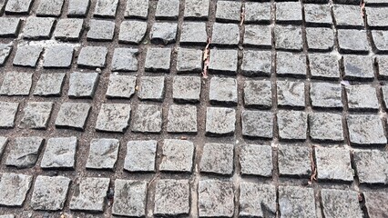 Close-up view of a textured cobblestone pathway with scattered leaves and debris.