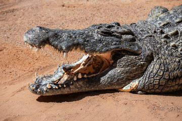 Sunny View of the Puente de Alc&aacute;ntara and the Alc&aacute;zar of Toledo in Spain. Unesco Stone Fortification on Hill. Cultural Heritage in Europe.