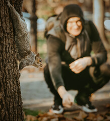 A squirrel hangs from a tree in the foreground and a man squats and holds out food to a squirrel in the background
