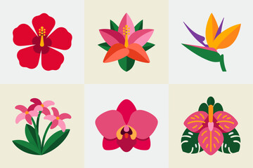 Tropical flower icon set, hibiscus plumeria orchid, bird of paradise bloom, bright exotic collection, botanical vector © kdpprosolutions2015