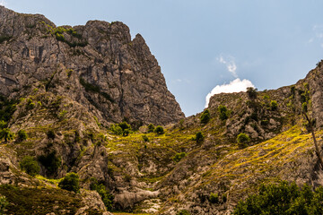 Paisaje en Poncebos, Picos de Europa.