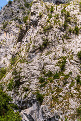 Paisaje en Poncebos, Picos de Europa.