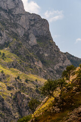 Paisaje en Poncebos, Picos de Europa.	