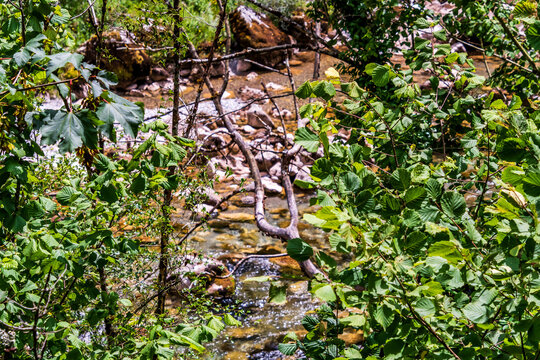 Rio Cares en Bulnes, Picos de Europa.