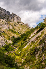 Paisaje en Poncebos, Picos de Europa.	