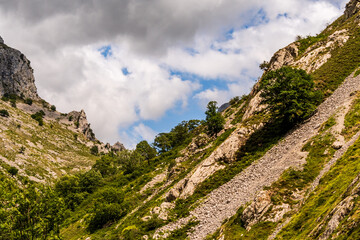 Paisaje en Poncebos, Picos de Europa.	