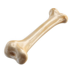 Fototapeta premium Realistic 3d render of a human femur bone on a black background