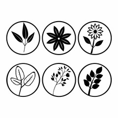 Collection of botanical icons with various leaves and flowers isolated on white background