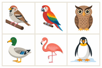 Woodland bird pack, owl woodpecker thrush chickadee, forest avian vector, educational wildlife clipart, birdwatching element