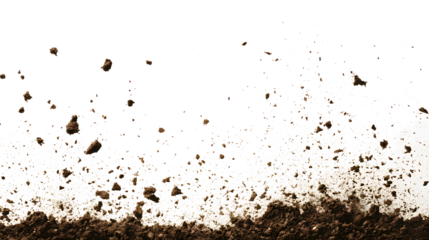 Soil and Debris Scattered Across White Background dirt isolated on a transparent background