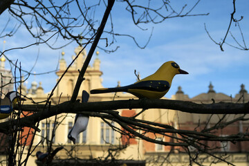 A leafless tree with several colorful artificial birds perched on its branches is set against a clear blue sky and urban buildings in the background.