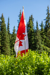 A Canadian flag on a pole rises above the bushes with trees in the background.