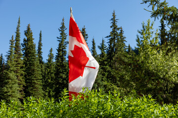 A Canadian flag on a pole rises above the bushes with trees in the background.