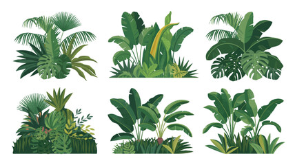 Tropical plant collection featuring lush green foliage for decoration and design projects including banana leaves and palm trees isolated on white
