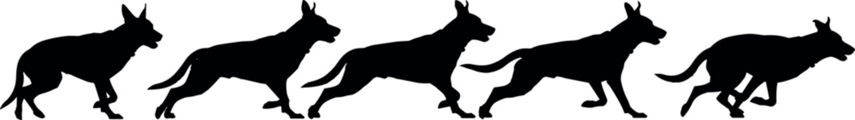 German Shepherd dog running, silhouette motion sequence, dynamic animal movement, black and white vector, canine illustration, capture art