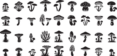 Collection of Black Mushroom Silhouettes fungi nature