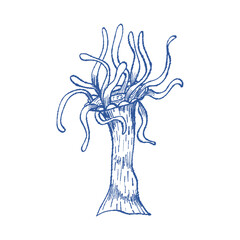 Artistic coral with expressive strokes and hand-drawn texture. Vector sketch for posters, fabric, wrapping paper and ocean-inspired branding