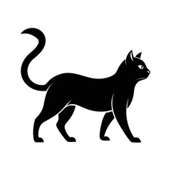 black cat isolated on white