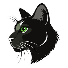 black cat face