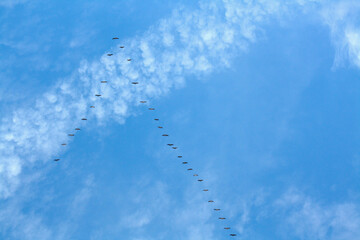 Migratory birds flying in formation across a blue sky with clouds