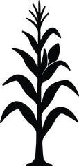 Illustrator corn stalk simple farming agriculture harvest Silhouette vector © Nasima
