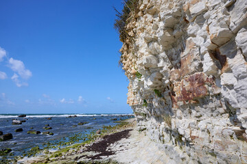 White limestone cliff towering over rocky Baltic Sea shoreline with seaweed and waves under clear blue sky in Bornholm Denmark