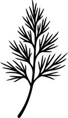 Illustrator Fresh dill sprig botanical herb single Silhouette vector