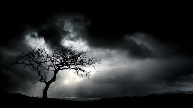 Silhouette of a lone tree against a stormy sky.