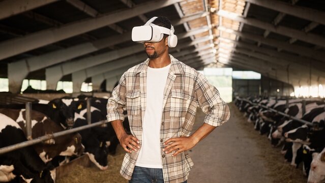 Portrait of African American guy standing in barn wearing VR headset. Male farmer using virtual reality glasses in cowshed indoor. Futuristic technology in animal farming. Livestock. Dairy industry - Powered by Adobe
