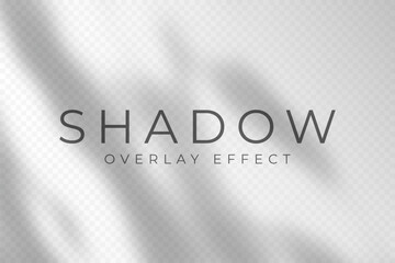 Shadow overlay effect. Transparent soft light and shadows from plant branches, leaves and foliage. Mockup of abstract transparent shadow overlay effect and natural lightning scene. Vector