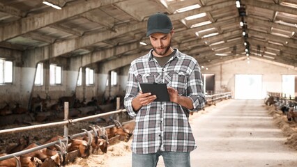 Handsome happy young Caucasian man using tablet standing in farm stable. Male farmer tapping on gadget device in shed. Goat flock on background. Domestic animal farm. Technology in farming