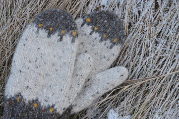 Woolen mittens on a dry grass in the winter.
