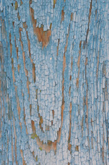 Obraz premium Old blue painted wood texture. Abstract background and texture for design.