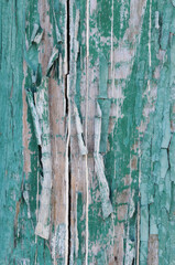 Old wooden background with peeling green paint. Grunge texture