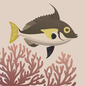 reef triggerfish vector illustration with bold patterns and streamlined body for tropical marine life and underwater wildlife designs