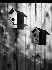 Two birdhouses on a rustic wooden fence, in black and white