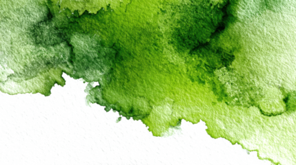 Abstract green watercolor texture on white paper background. Isolated watercolor. Design element for products and printing