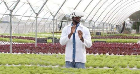 Man adjusting VR headset while using hand gestures for greenhouse hydroponic lettuce monitoring - Powered by Adobe