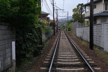 Fototapeta premium 奈良、興福寺、佛寺、寺院、文化財、木造建築、古代建築、日本文化、歷史名勝、文化財、木、綠色、青空、写真素材 